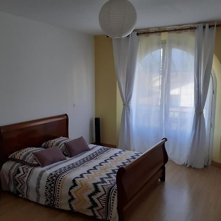 Appartement Spacieux Et Lumineux Oloron-Sainte-Marie Kültér fotó